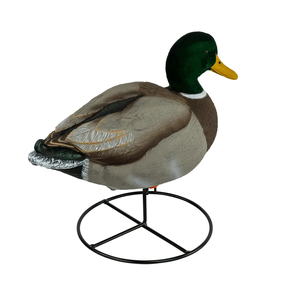 Flight Flocked Full Body Mallard 6 Pack