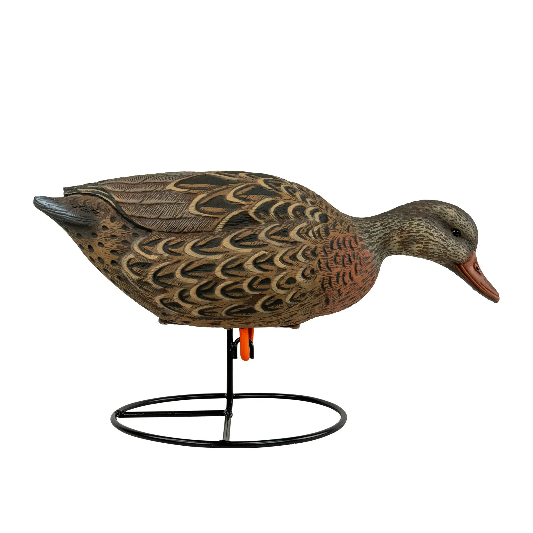 Flight Flocked Full Body Mallard 6 Pack