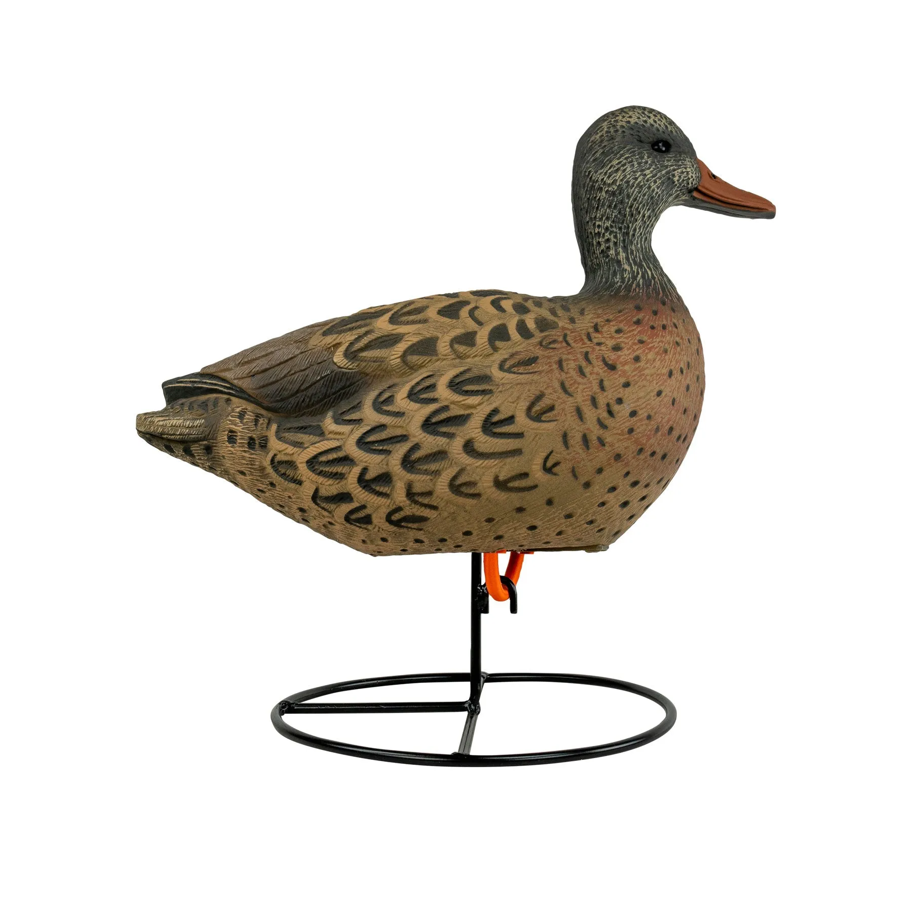 Flight Flocked Full Body Mallard 6 Pack
