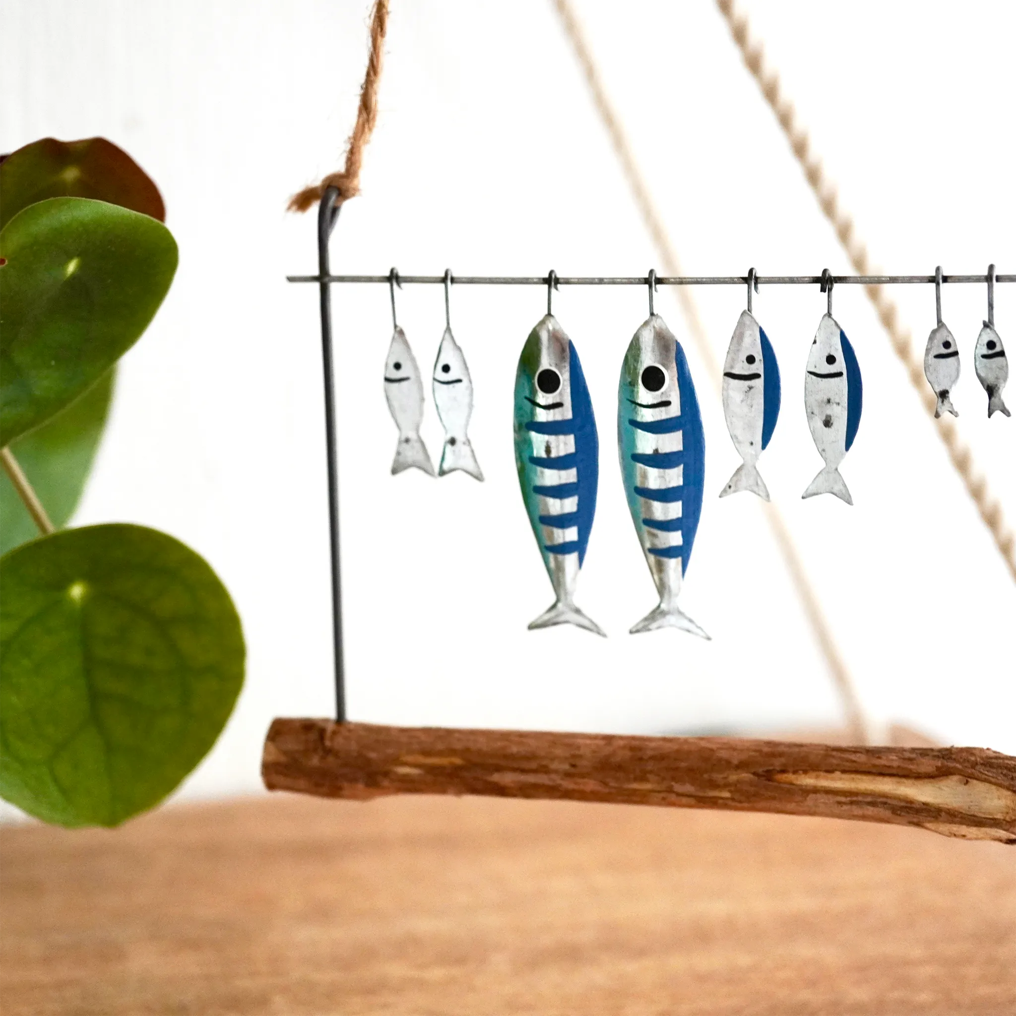 Hanging Drying Fish