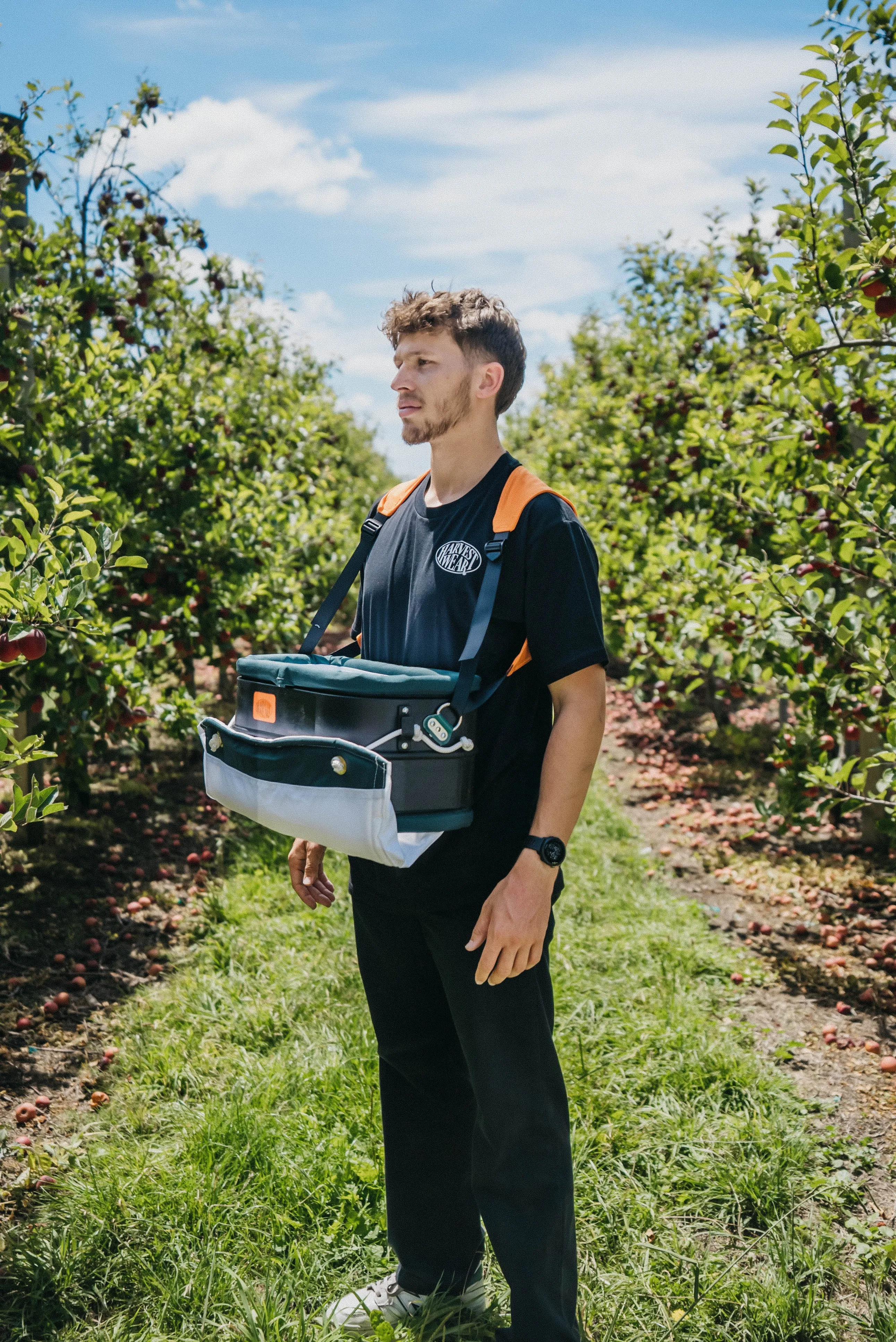 Harvestwear 14L Hard Shell Stonefruit Picking Bucket with Support  Harness