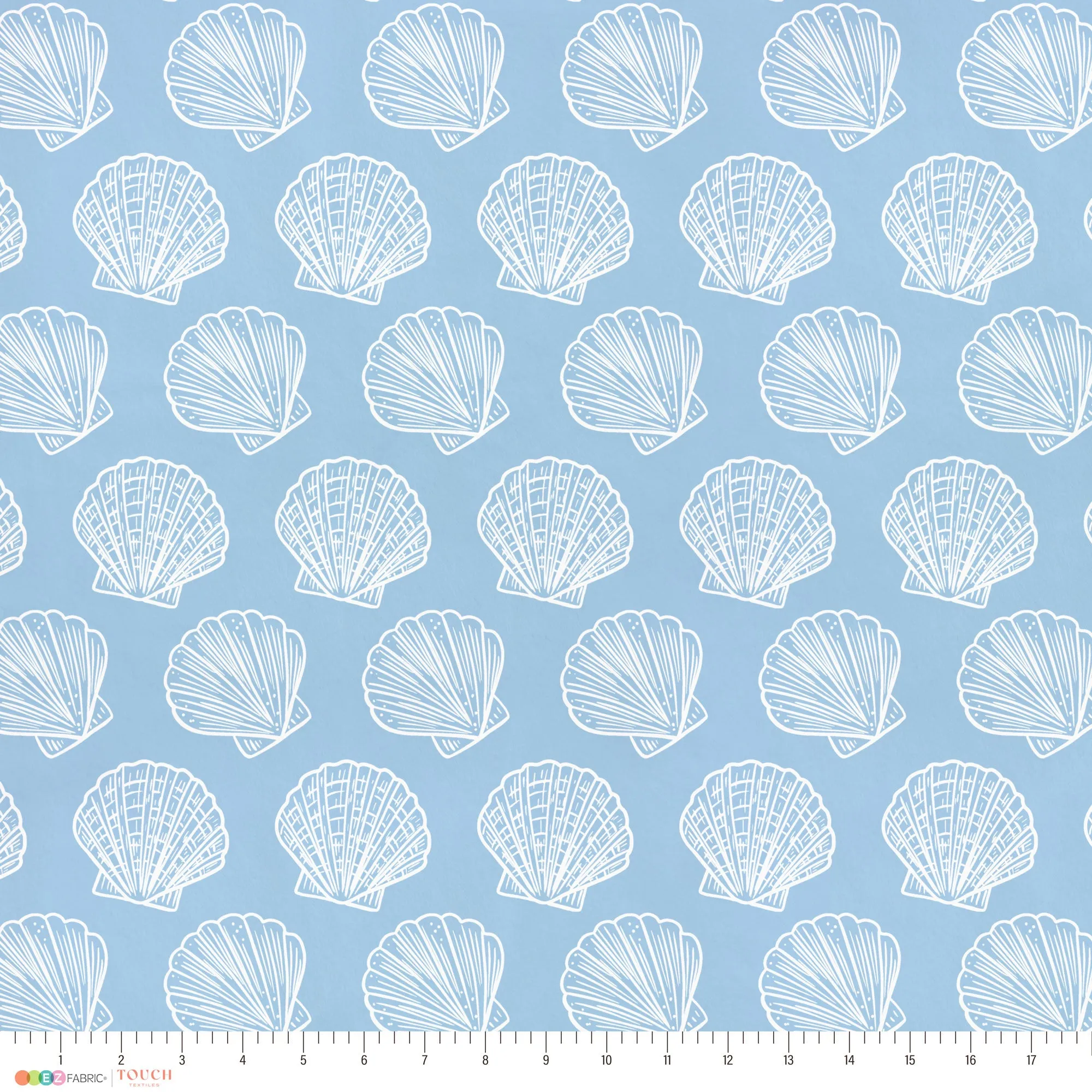 Scallop Shells | Underwater Eden