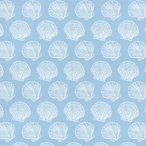 Scallop Shells | Underwater Eden