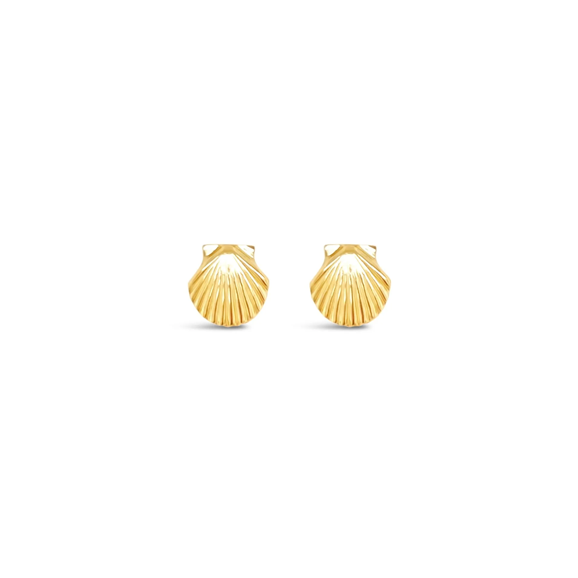 Tiny Scallop Shell Stud Earrings